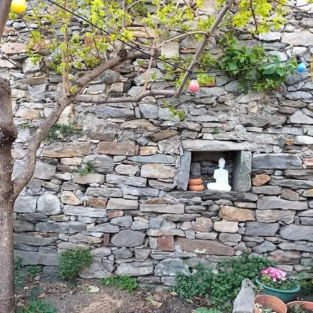 La Gatera *