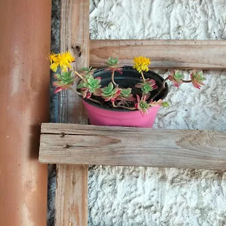 La Gatera Casa de hóspedes